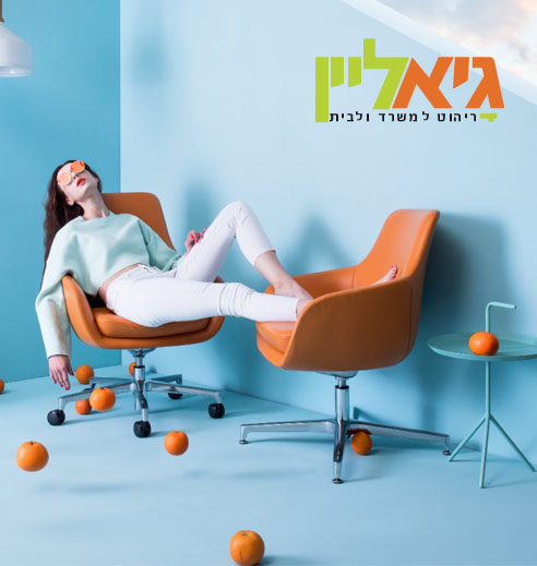 גיא ליין, חנות רהיטים למשרד ולבית בצפון - קמעונאות אונליין