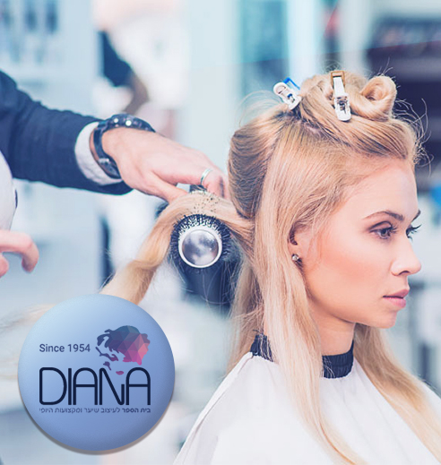 דיאנה, בית ספר למקצועות השיער והטיפוח - קמעונאות אונליין